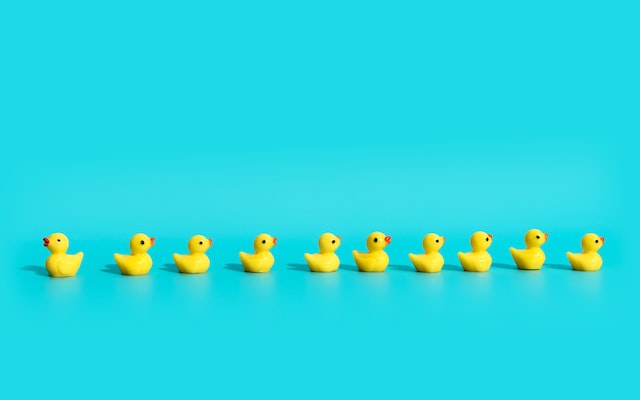 10 toy ducks in a row