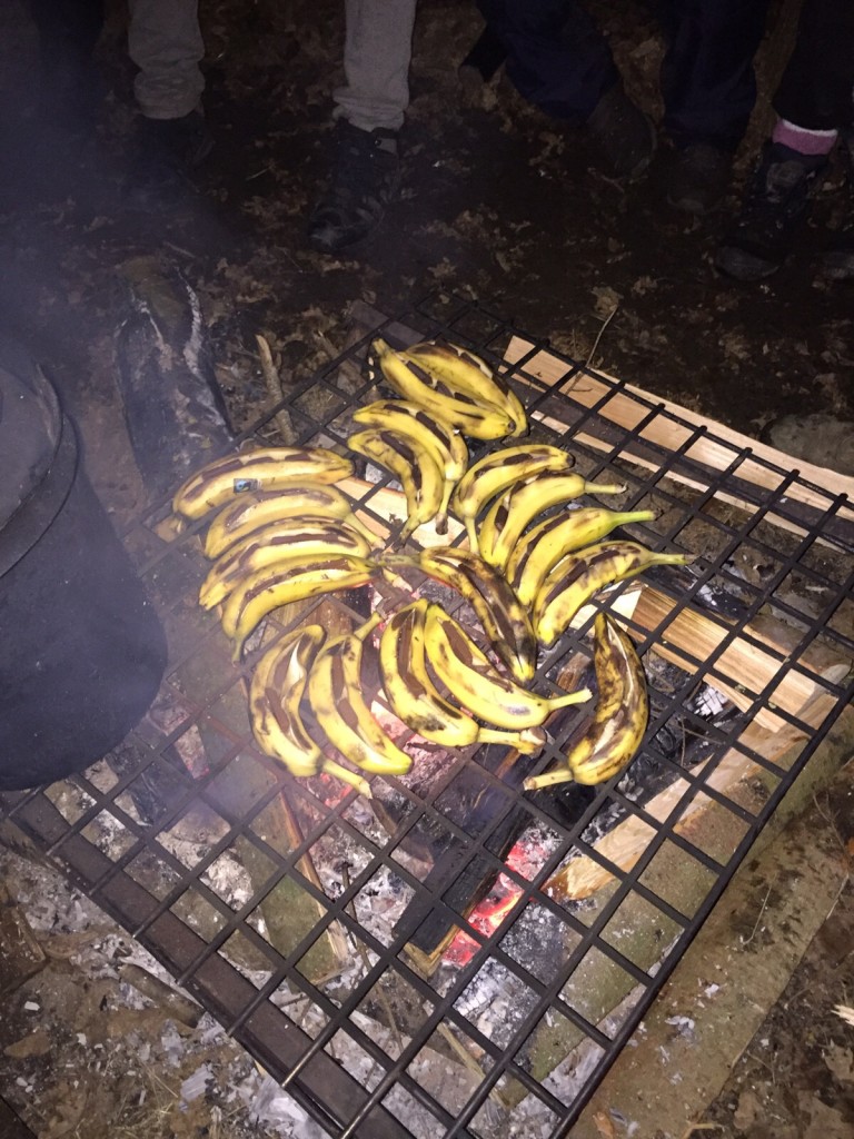 IMG-20151126-WA0054