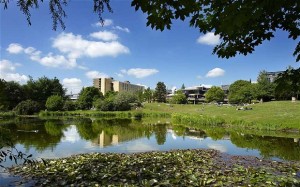 bath_2509077b