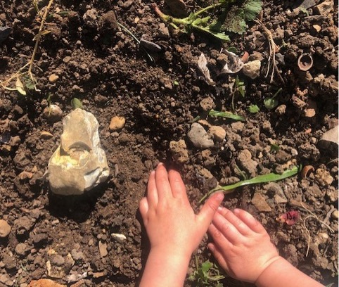 Small children's hand pat down soil around a stone.