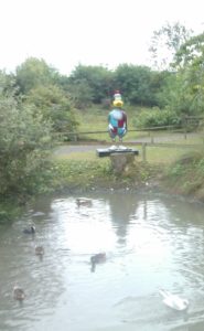 Duck pond at WWT Slimbridge