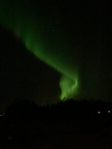 The northern lights. mysterious green waves in a black sky.