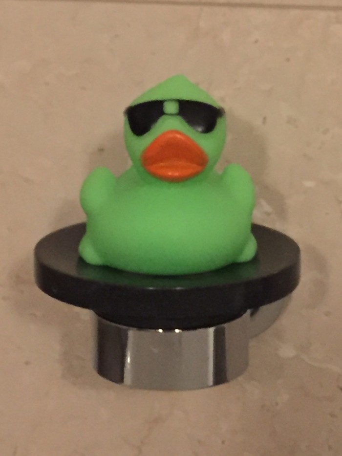 Dubai duck.