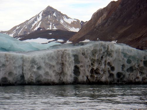 Gruyere iceberg: the holes had large stones in them, from the bottom of the glacier. This was the base of the iceberg, which has now capsized.