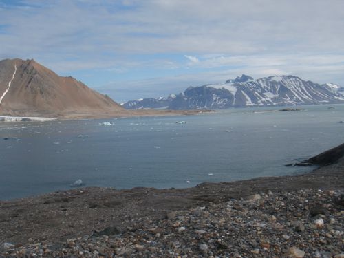 From the hill where our cameras are deployed, we get wide views over the entire Hans Glacier and its fjord, covered with icebergs of different sizes.