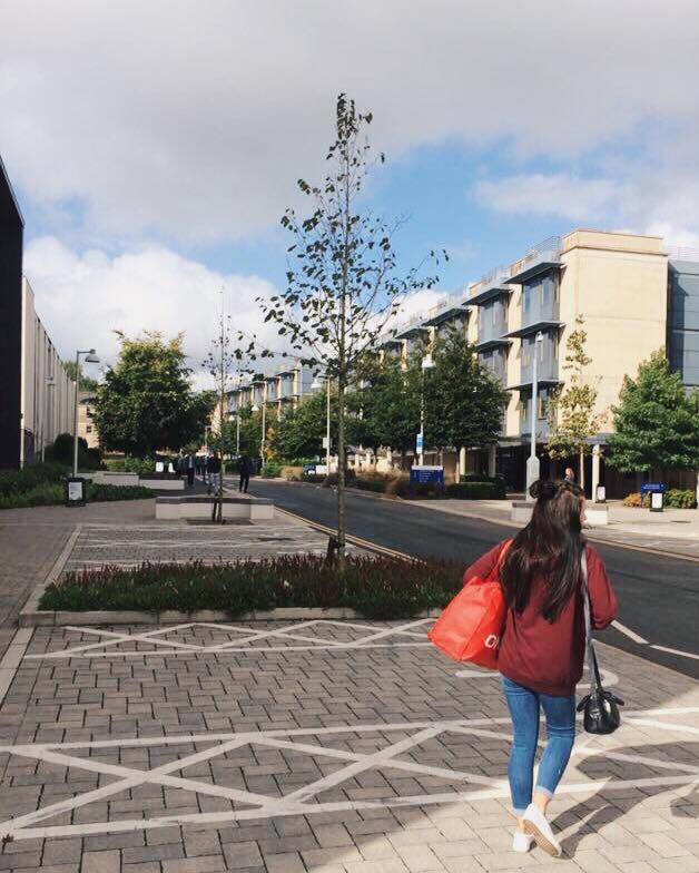 Walking home to Woodland Court