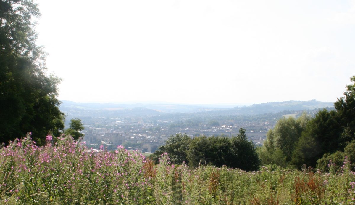 Skyline view of the City of Bath - trees and shrubs in the foreground and the City in the background.