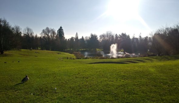 View of the University lake. Green grass inteh forground and blue sky in the background