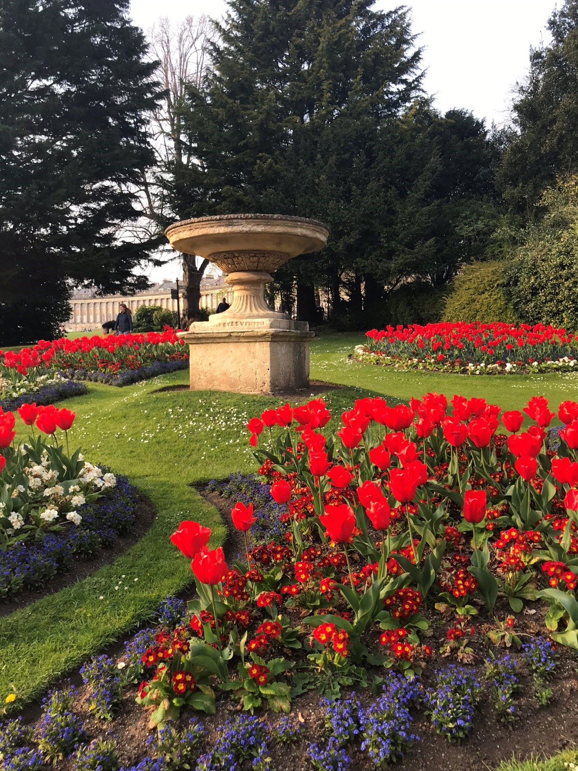 Tulips and other flowers near the royal crescent