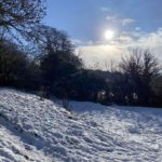 A snowy hill with trees.