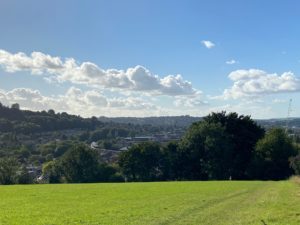 A view of Bathwick Hill ona sunny day. Green grass in the foreground and dark green shrubbery topped with a cloudy, bright blue sky