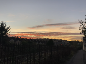 A sunset with pretty shades of yellow, orange, and blue from a winter evening