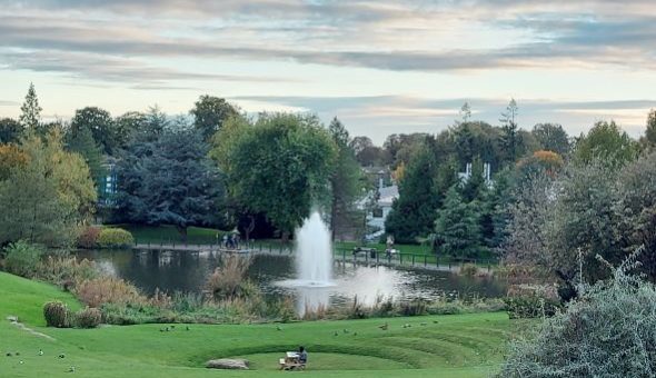 A photo of a grassy amphitheatre overlooking a fountain, located on the University of Bath campus