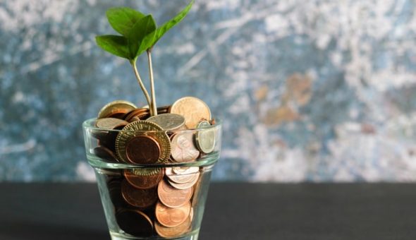 Coins in a glass jar and a green shoot growing out of them