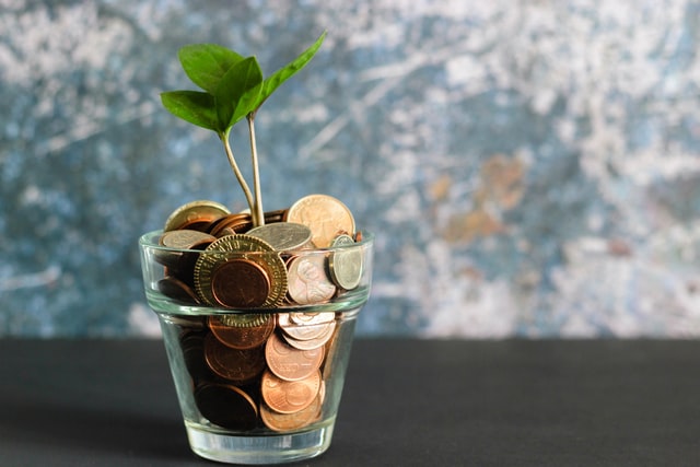 Coins in a glass jar and a green shoot growing out of them