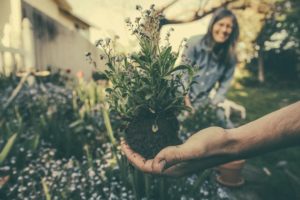 A hand holding a lavender plant whilst a woman looks on smiling in the distance