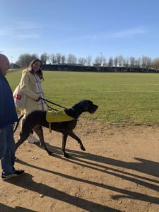 Walking along bath grounds with the big tall black great dane to my right, the owner just beyond. A sunny day with green fields in the background